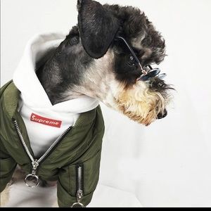 Meet your Posher, Yu